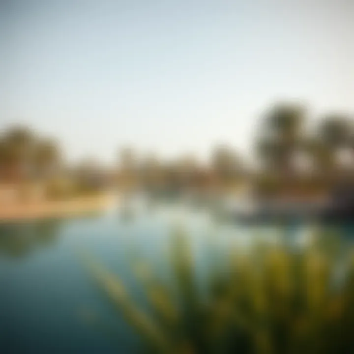 Magnificent Exploring Pond Park in Al Quoz: A Convergence of Nature and Urban Life