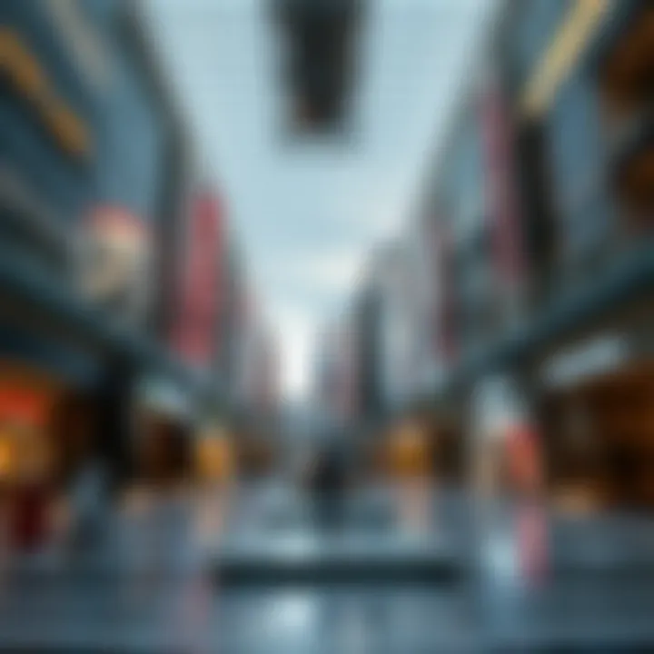 Magnificent Silicon Central Mall: An In-Depth Exploration