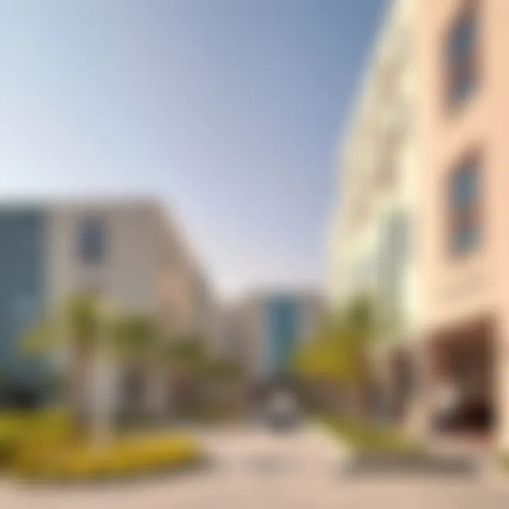 Community spaces and parks in Al Jaddaf promoting vibrant lifestyle