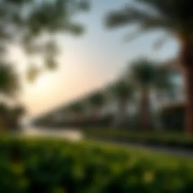 Community park in Al Wasl Residence showcasing greenery