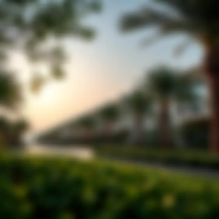 Community park in Al Wasl Residence showcasing greenery