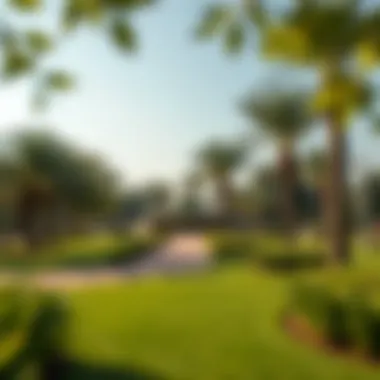 Notable Exploring Al Shees Park: A Green Oasis in Dubai Notable Exploring Al Shees Park: A Green Oasis in Dubai