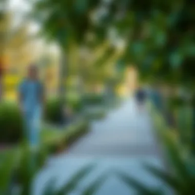 Exploring Al Shees Park: A Green Oasis in Dubai Summary Exploring Al Shees Park: A Green Oasis in Dubai Summary
