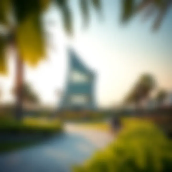 Vibrant community park in الراشدية