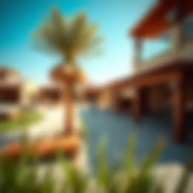 Outdoor recreational spaces in Bliss 2 Arabian Ranches