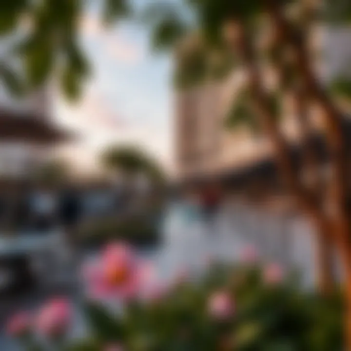 Community amenities surrounding Cove