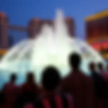Tourist Experience at the Fountain Tourists enjoying the show at Fontaine Dubai