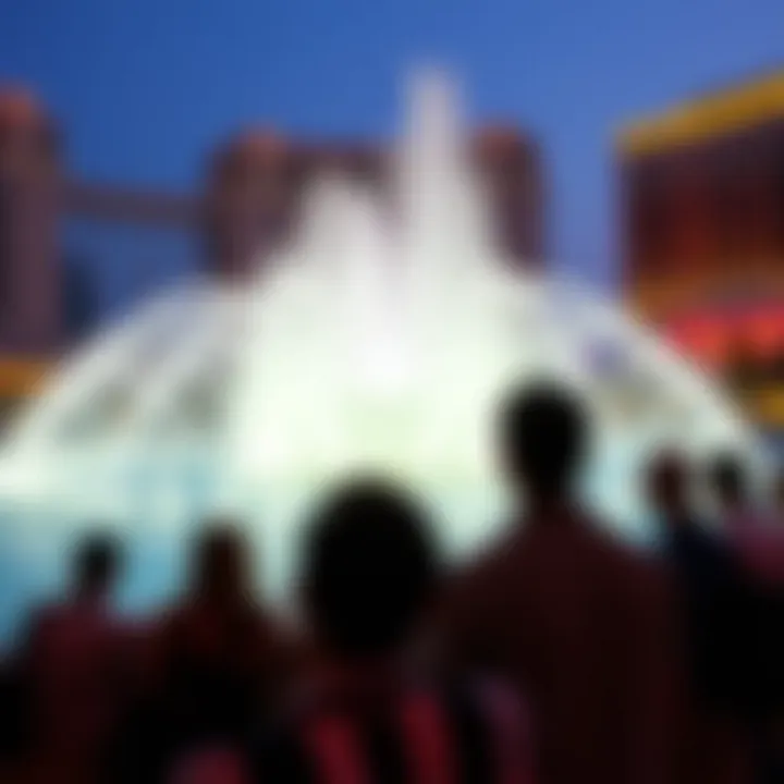 Tourist Experience at the Fountain Tourists enjoying the show at Fontaine Dubai