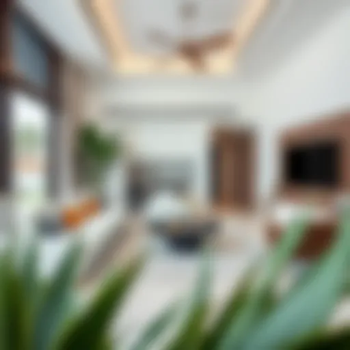 Contemporary living space layout in June