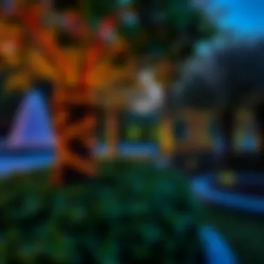 Exploring Khalidiya Park: A Hub of Leisure and Nature in Dubai Introduction Exploring Khalidiya Park: A Hub of Leisure and Nature in Dubai Introduction