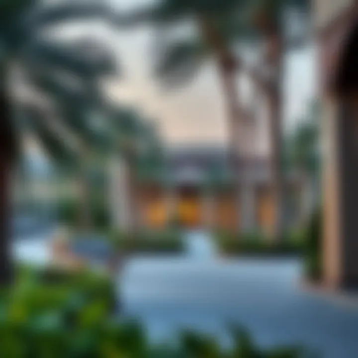 Exploring Khalidiya Park: A Hub of Leisure and Nature in Dubai Summary Exploring Khalidiya Park: A Hub of Leisure and Nature in Dubai Summary