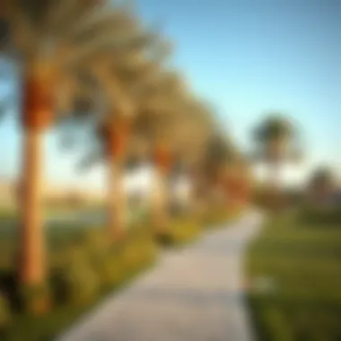 A serene park in Mirdif, ideal for relaxation and outdoor activities