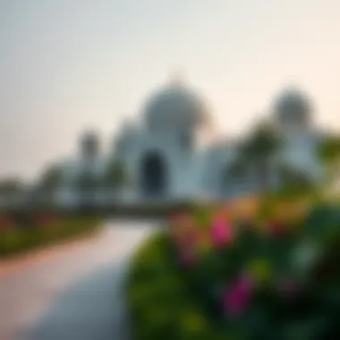 Notable Exploring Mushrif Park Dubai: A Comprehensive Insight Notable Exploring Mushrif Park Dubai: A Comprehensive Insight