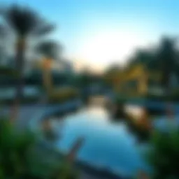 Exploring Pond Park in Al Quoz: A Convergence of Nature and Urban Life Introduction