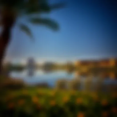Notable Exploring Pond Park in Al Quoz: A Convergence of Nature and Urban Life Notable Exploring Pond Park in Al Quoz: A Convergence of Nature and Urban Life