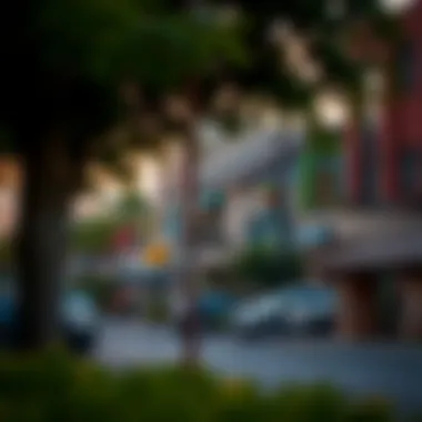 Neighborhood Vibe and Accessibility A scenic neighborhood view highlighting accessibility and local amenities