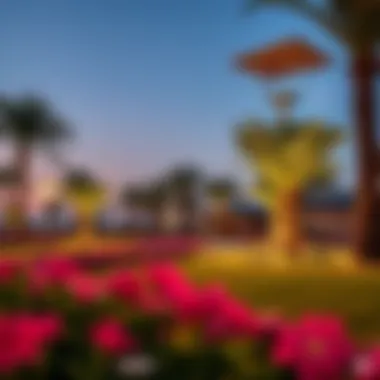 Community Park in سفاري مويلح Vibrant community park in سفاري مويلح attracting residents