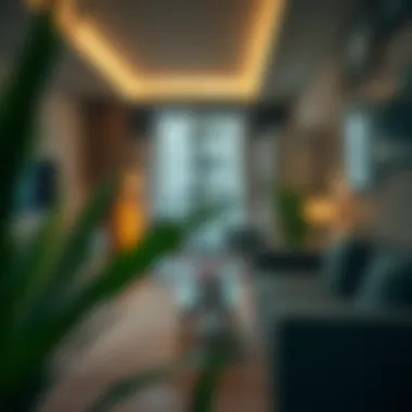 Amenities available in a Bur Dubai studio apartment