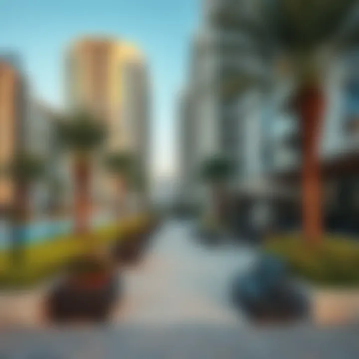 Amenities available in Bur Dubai, including parks and gyms