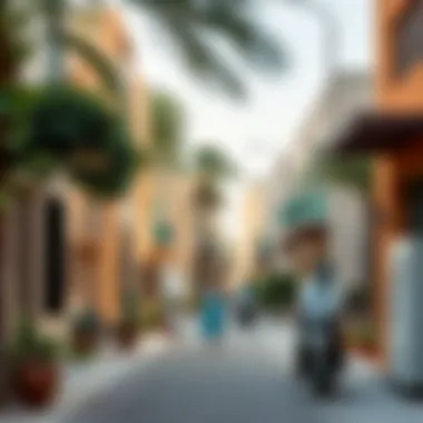 Vibrant neighborhood streets in Dubai highlighting community life