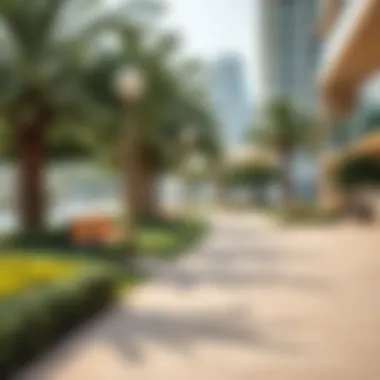 Exploring the Influence of Proximity to Parks in Dubai's Real Estate Market Summary Exploring the Influence of Proximity to Parks in Dubai's Real Estate Market Summary