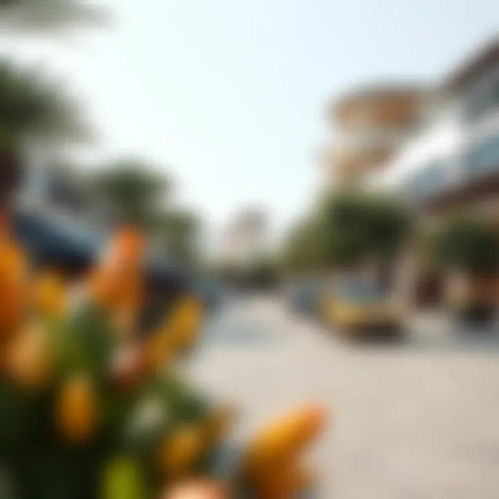 Lifestyle amenities surrounding Aljada, including parks and shopping centers