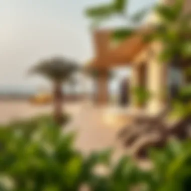 Community and Sustainability at شاطئ القرم Community engagement and sustainable practices observed at شاطئ القرم