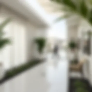 Notable Exploring Villas in Rashidiya: Insights and Opportunities in Dubai's Real Estate Market