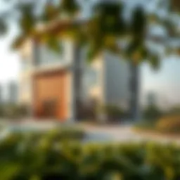 Green Residency in the UAE: Insights and Implications Introduction