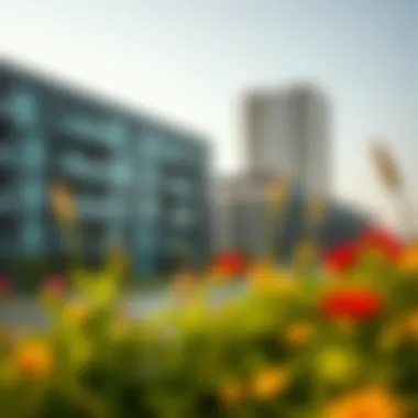 Notable Green Residency in the UAE: Insights and Implications Notable Green Residency in the UAE: Insights and Implications