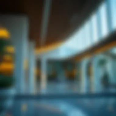 How to Check Visa Status in Dubai Online Summary