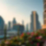 Stunning skyline view of Iris Dubai showcasing its architectural elegance