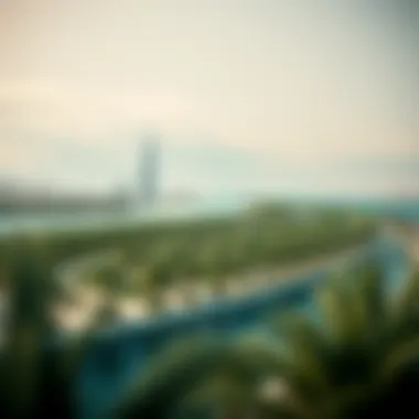 Economic impact diagram illustrating the growth potential of the Jebel Ali Palm Project