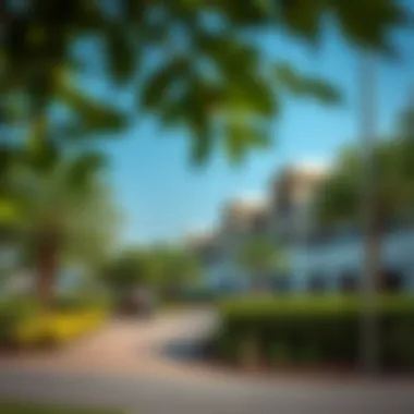 A vibrant community park in Jumeirah Village Circle near The Orchard Place