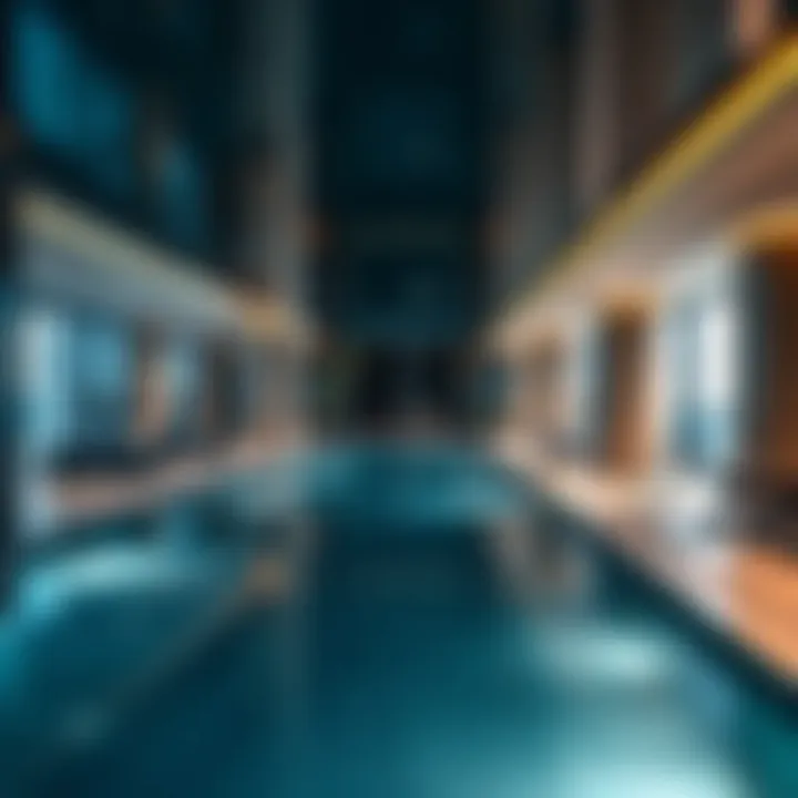 Interior amenities of Lake Terrace Tower including gym and pool