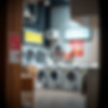 Diverse Laundry Service Pricing Options Illustration of diverse laundry service pricing options available in the area