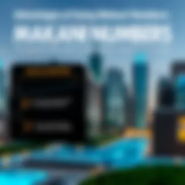 Infographic illustrating the benefits of the Makani number for investors