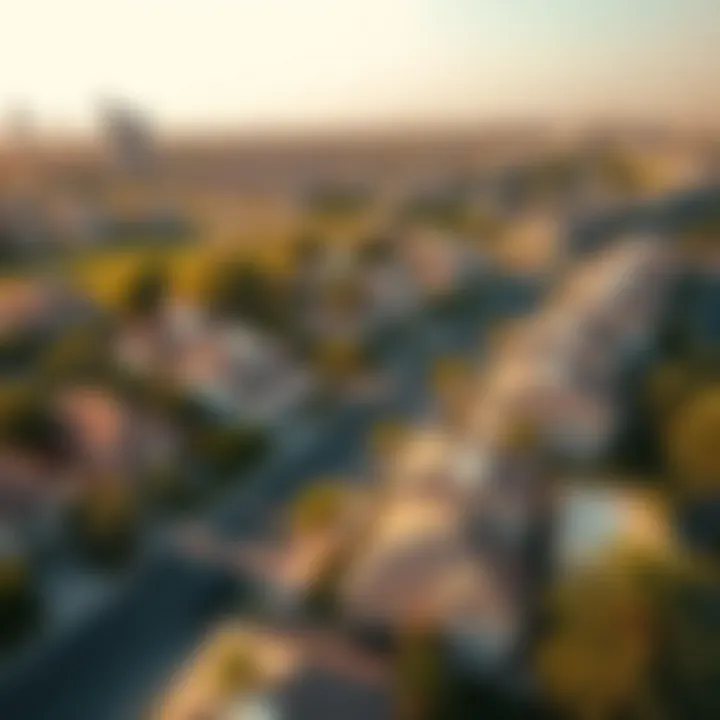 Aerial view of a prestigious neighborhood in Dubai