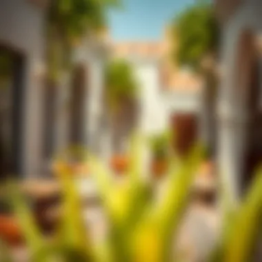 Charming cultural space in a vibrant neighborhood