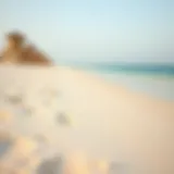 Serene private beach in Dubai with pristine sands