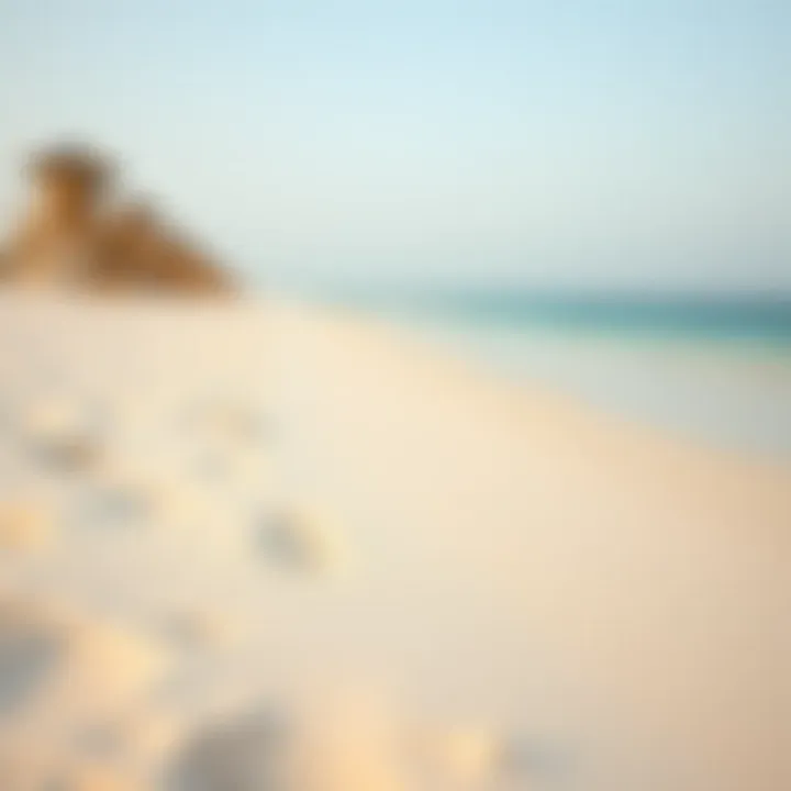 Serene private beach in Dubai with pristine sands