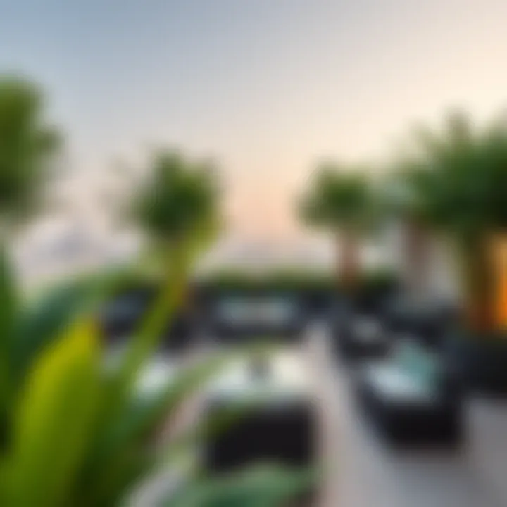 A panoramic view of the Rooftop Garden Lounge showcasing its lush greenery and elegant seating areas