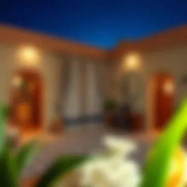 Notable Room for Rent in Shabiya: A Comprehensive Guide Notable Room for Rent in Shabiya: A Comprehensive Guide