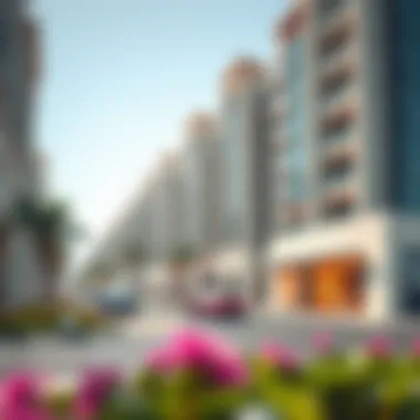 Investment Potential in Rukn Al Raha Investment opportunities in Rukn Al Raha