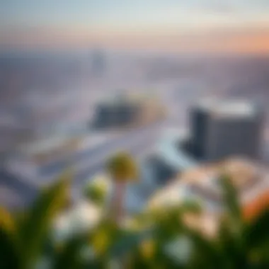 Panoramic view of Silicon Oasis and its surroundings