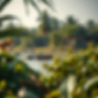 Lush vegetation and wildlife on Sinniyah Island