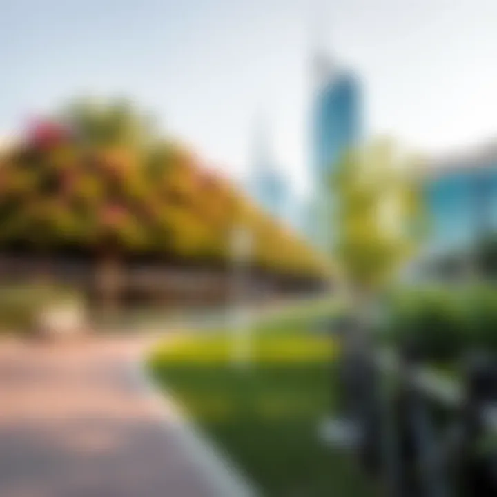 A serene pathway in The Dubai Mall Park, inviting visitors to explore the natural environment.