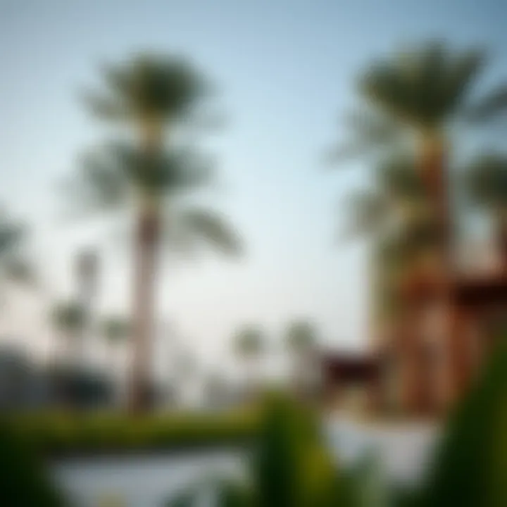 Notable Understanding Khalifa Avenue Park: A Comprehensive Exploration