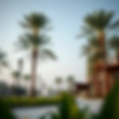 Notable Understanding Khalifa Avenue Park: A Comprehensive Exploration Notable Understanding Khalifa Avenue Park: A Comprehensive Exploration