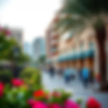 Vibrant community life surrounding Park Place